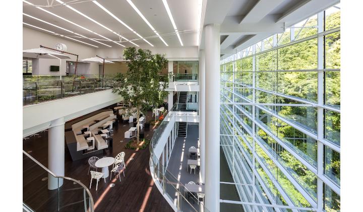 人材育成について